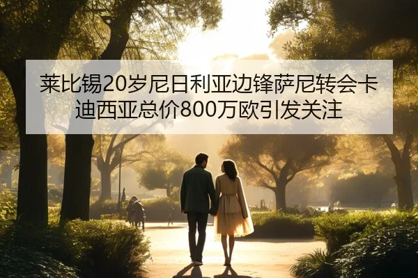 莱比锡20岁尼日利亚边锋萨尼转会卡迪西亚总价800万欧引发关注